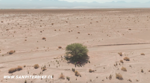 Tour Bike - Laguna Cejar - Ojos del Salar - Imagen 4