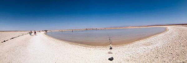 Tour Bike - Laguna Cejar - Ojos del Salar - Imagen 10